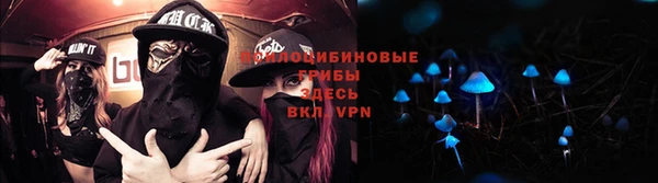 гидропоника Вязьма