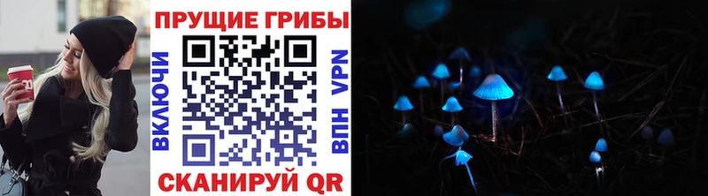 Псилоцибиновые грибы Magic Shrooms  МЕГА ONION  Снежинск  продажа наркотиков 